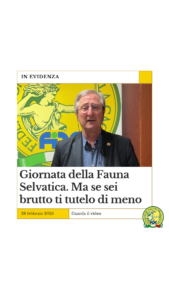 video buconi