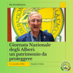 GIORNATA NAZIONALE DEGLI ALBERI: UN PATRIMONIO DA PROTEGGERE