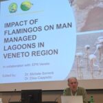 FEDERCACCIA PRESENTE CON UNA RELAZIONE ORALE AL 4° CONVEGNO INTERNAZIONALE SUL FENICOTTERO