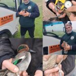 ACMA. AVANTI CON LE RICERCHE