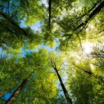 MASE. NATURA: AGGIORNATO L’ELENCO UFFICIALE DELLE AREE PROTETTE, SONO 1048