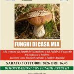 STAGIONE DI CACCIA, STAGIONE DI FUNGHI