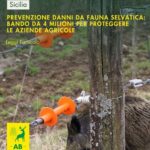 FAUNA SELVATICA IN SICILIA: BANDO SRD04 DA 4 MILIONI PER PROTEGGERE LE AZIENDE AGRICOLE