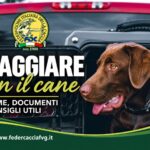 FEDERCACCIA FVG. COSA SERVE PER VIAGGIARE CON IL CANE IN ITALIA E UE E VACCINI OBBLIGATORI