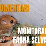 MAMMIFERI 4.0: DIETRO LE QUINTE DELLA RICERCA CON IL QUARTO EPISODIO DI DIGITAP