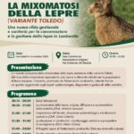 FEDERCACCIA LOMBARDIA. AFFRONTIAMO IL TEMA DELLA MIXOMATOSI DELLA LEPRE