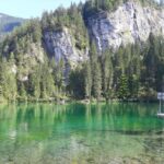 BIODIVERSITÀ ALPINA, DAI BIG DATA ALL’INTELLIGENZA ARTIFICIALE: A TRENTO LA RICERCA SI CONFRONTA SULLE NUOVE SFIDE DELLA CONSERVAZIONE