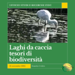 LAGHI DA CACCIA TESORI DI BIODIVERSITÀ