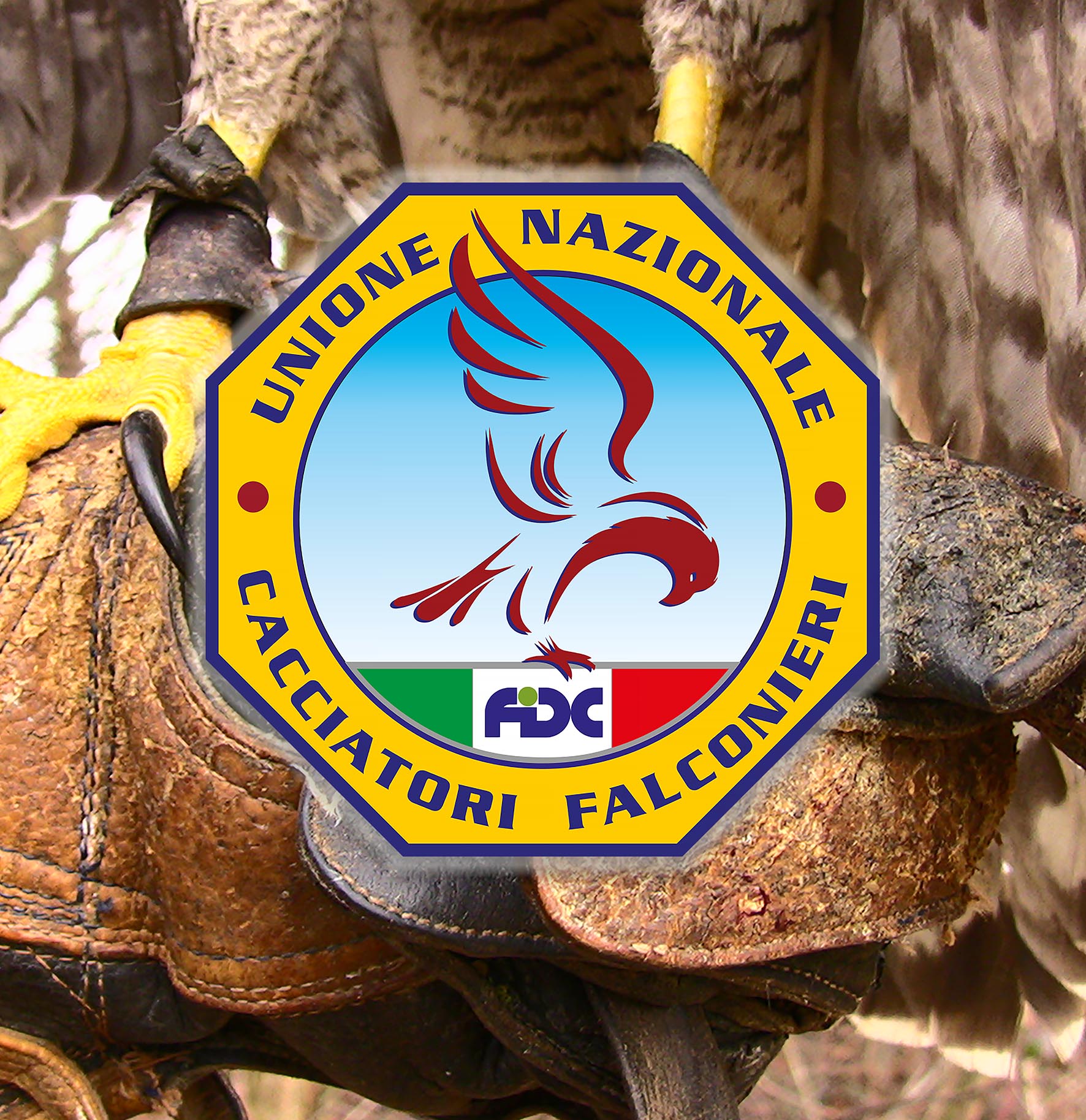Gilet Da Falconeria E Caccia – Arancione Riflettente – Per Addestratori E Lavoro – ALTAWASH - Foto 2