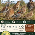 APPELLO AI CACCIATORI: CONSEGNATE GLI ANELLI DEGLI UCCELLI ABBATTUTI