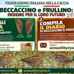 UFFICIO STUDI E RICERCHE. CONTINUA LA RICERCA SU BECCACCINO E FRULLINO