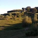 REGIONE LOMBARDIA. APPROVATI CRITERI PER FINANZIARE LA CONSERVAZIONE DEI ROCCOLI