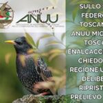 STORNO. TOSCANA: SUBITO UNA NUOVA DELIBERA PER RIPRISTINARE IL PRELIEVO IN DEROGA DELLA SPECIE